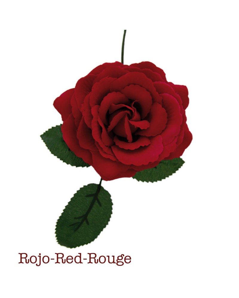 Fleurs de flamenco