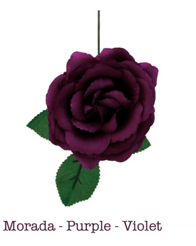 Fleurs de flamenco