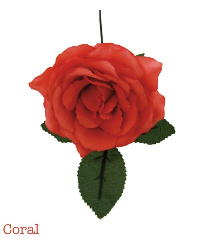 Fleurs de flamenco