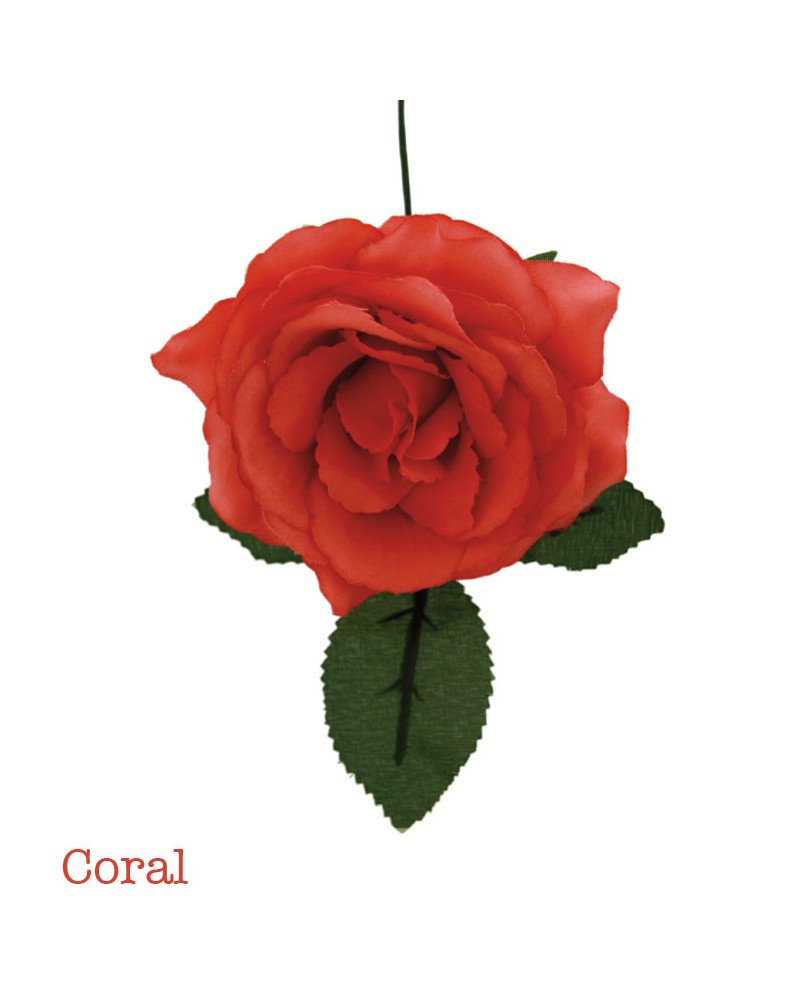 Fleurs de flamenco
