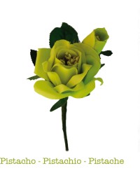 Fleur flamenco "Douce" <b>Coleur - Pistache, Tailles - S</b>