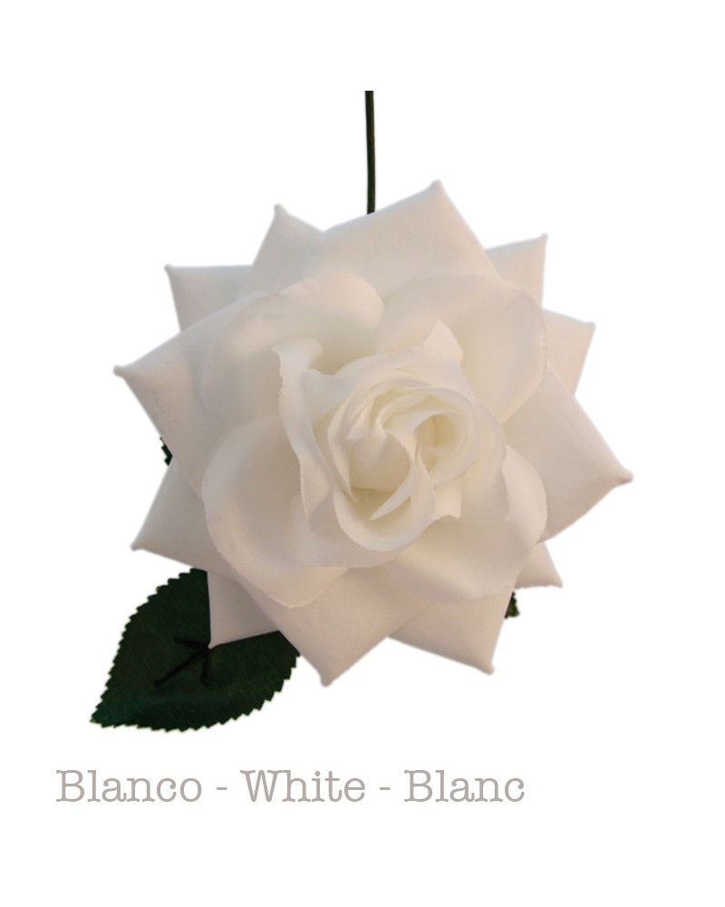 Fleurs de Flamenco