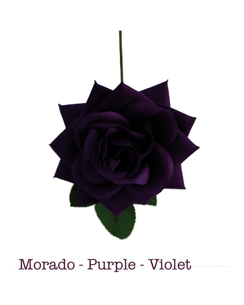 Fleurs de flamenco