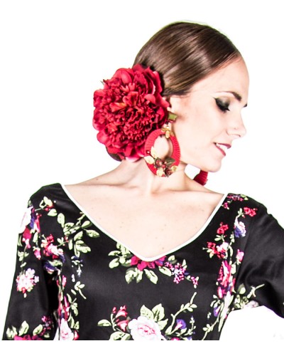 Fleurs de flamenco