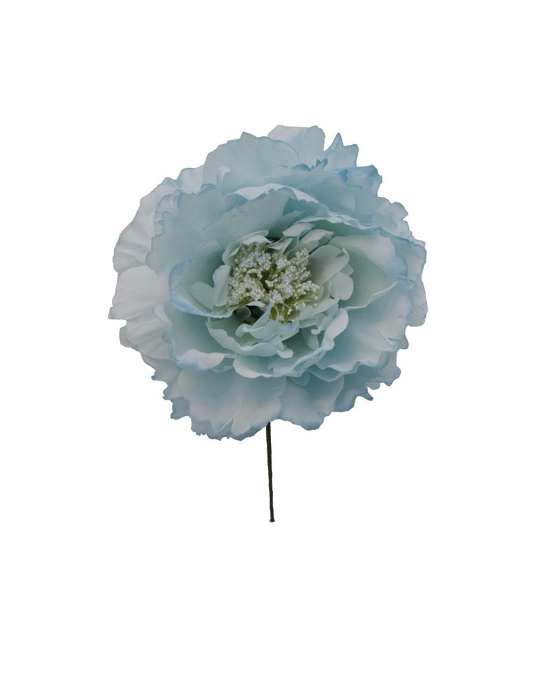 Grandes Pivoines