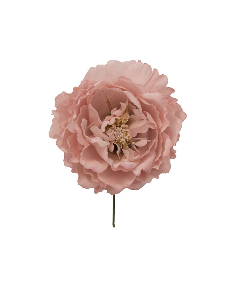 Grandes Pivoines
