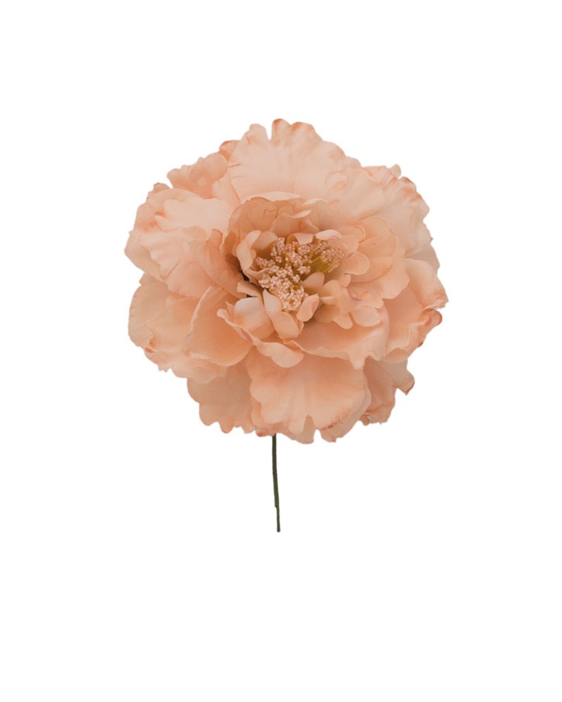 Grandes Pivoines